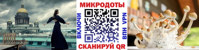 Псилоцибиновые грибы Psilocybe  omg сайт  Кубинка 